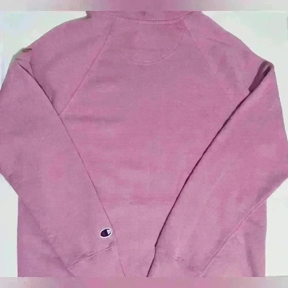 Champion Powerblend Graphic Hoodie, Women’s Size Medium, in color Paper Orchid - Picture 2 of 10